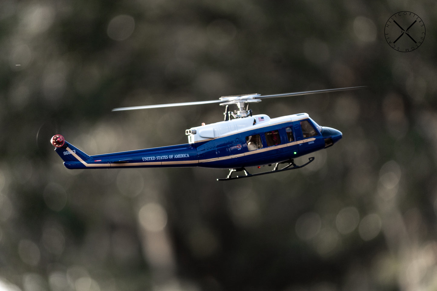 B212 UH-1N 1St Squadron United States of America RC Helicopter Replica