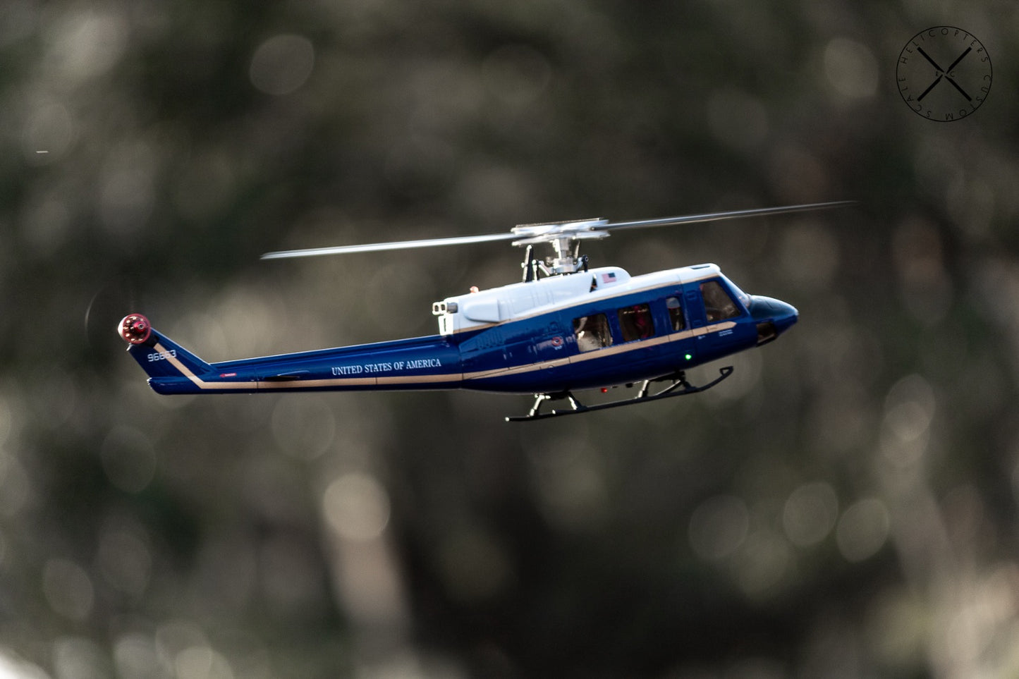 B212 UH-1N 1St Squadron United States of America RC Helicopter Replica